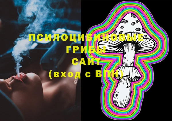 ПСИЛОЦИБИНОВЫЕ ГРИБЫ Белоозёрский
