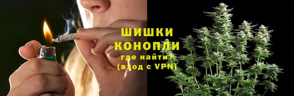хмурый Сосновка