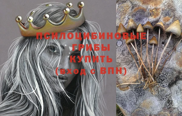 ПСИЛОЦИБИНОВЫЕ ГРИБЫ Белоозёрский