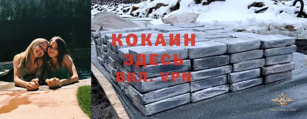 ПСИЛОЦИБИНОВЫЕ ГРИБЫ Белоозёрский